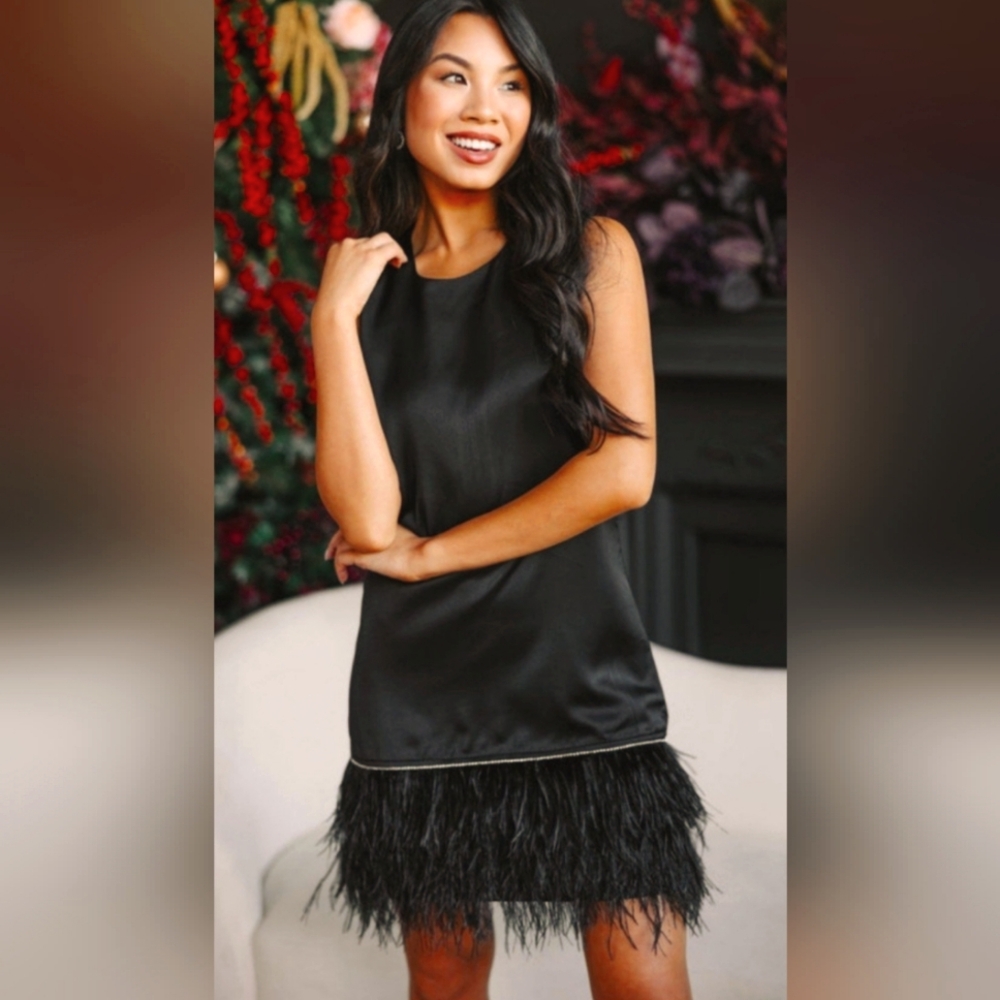 FINAL OFFER NEW Feather Rhinestone black dress shop mint julep boutique large